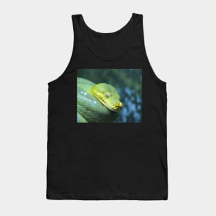 Green Tree Python Tank Top